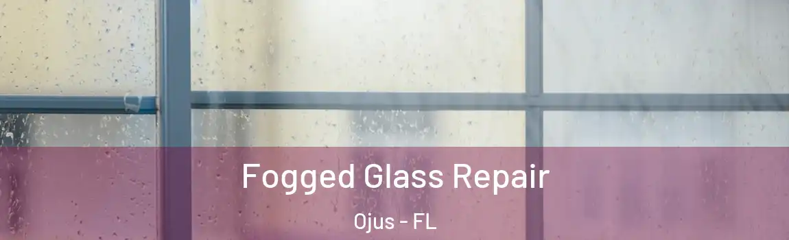  Fogged Glass Repair Ojus - FL