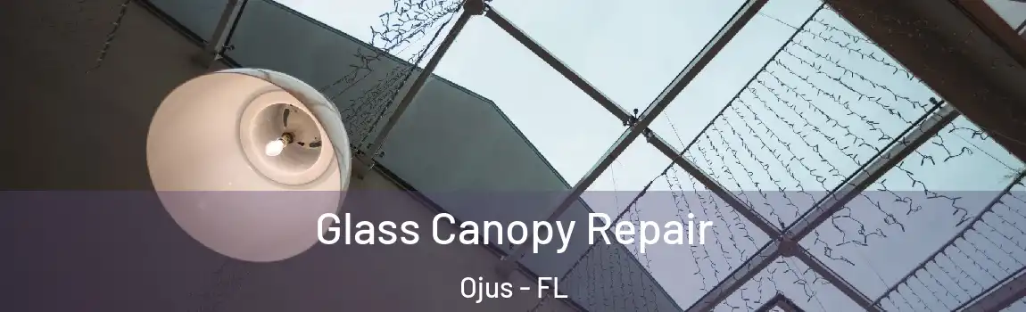  Glass Canopy Repair Ojus - FL