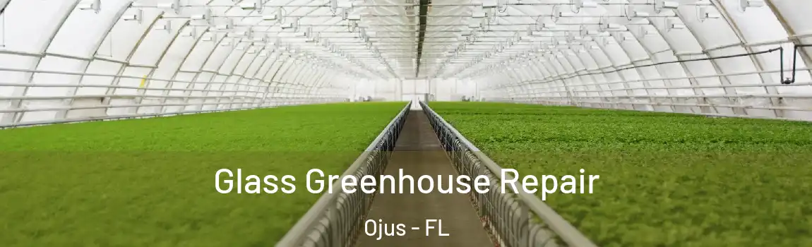  Glass Greenhouse Repair Ojus - FL