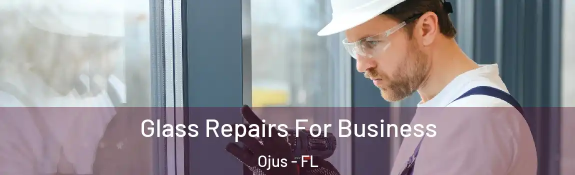 Glass Repairs For Business Ojus - FL