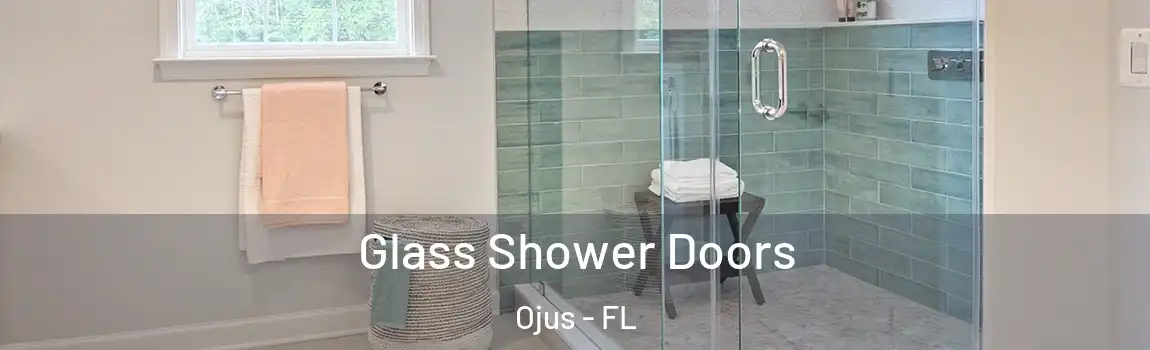 Glass Shower Doors Ojus - FL