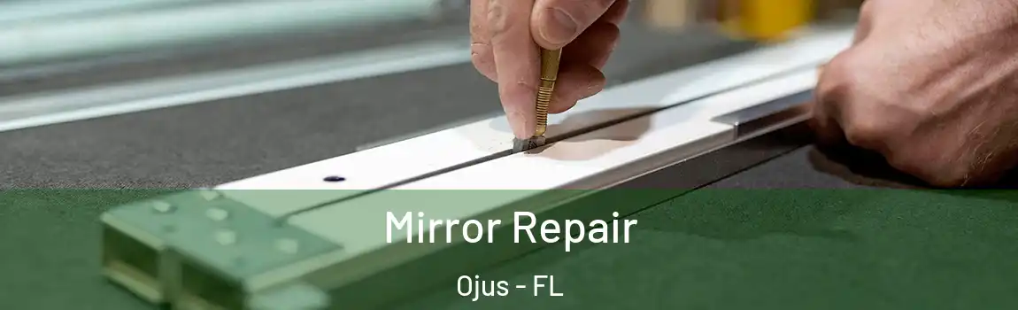  Mirror Repair Ojus - FL