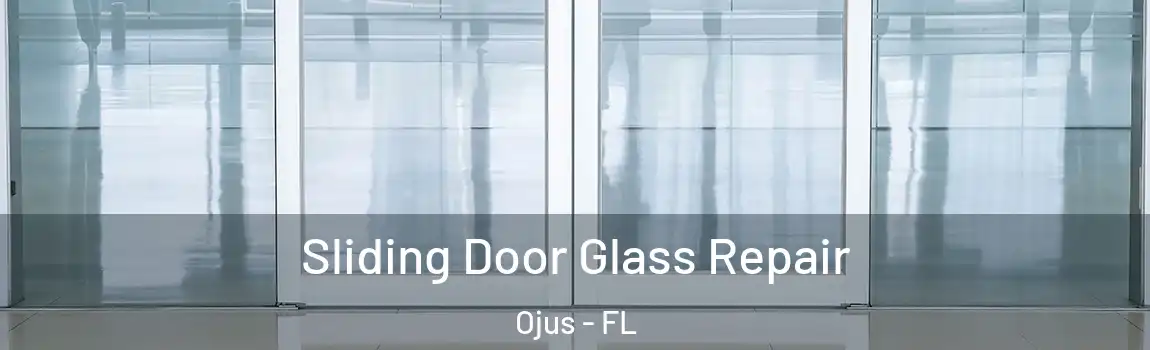  Sliding Door Glass Repair Ojus - FL