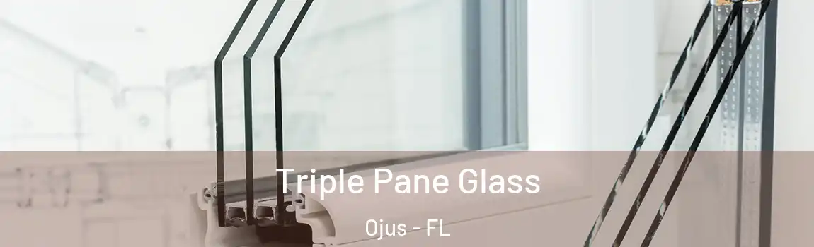  Triple Pane Glass Ojus - FL