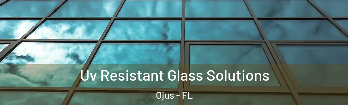  Uv Resistant Glass Solutions Ojus - FL