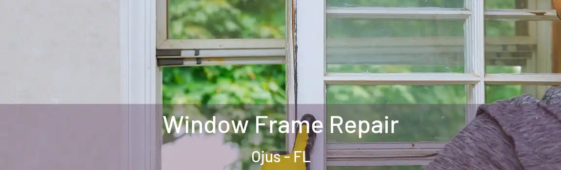  Window Frame Repair Ojus - FL