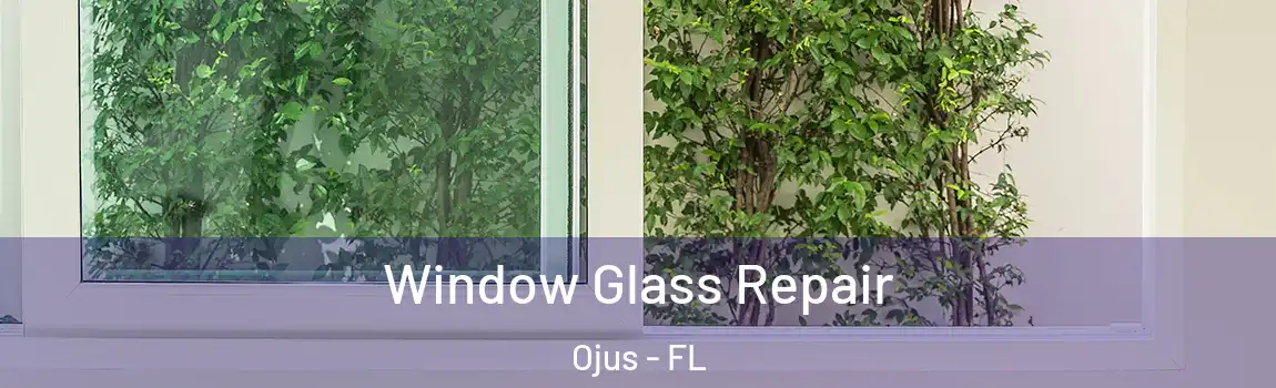  Window Glass Repair Ojus - FL