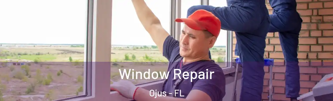 Window Repair Ojus - FL
