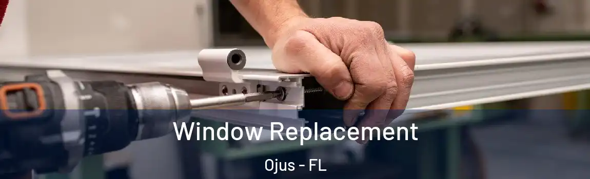 Window Replacement Ojus - FL