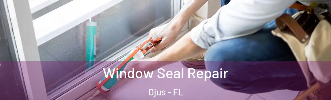  Window Seal Repair Ojus - FL
